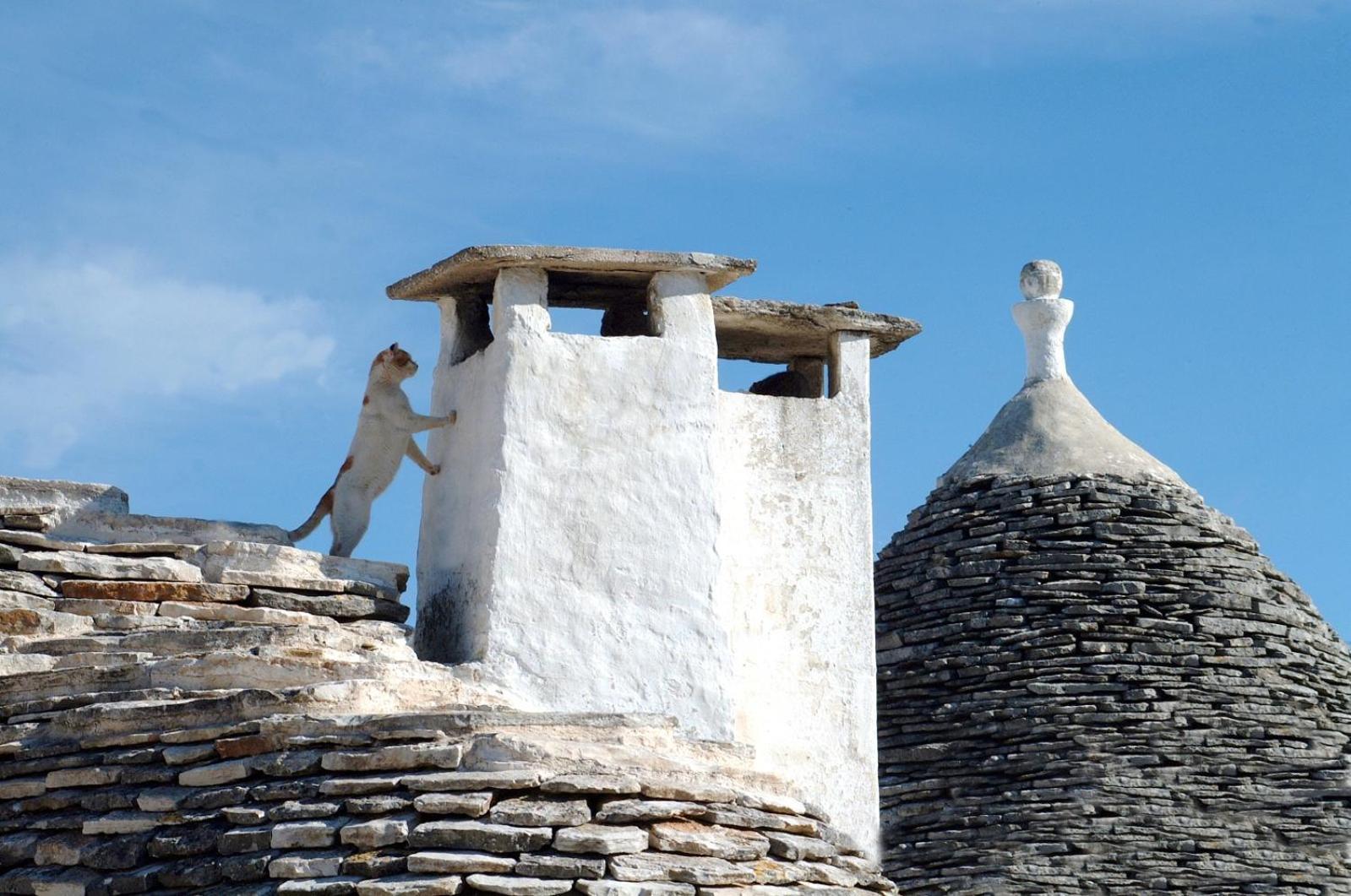 B&B Corso Trieste E Trento Alberobello Exteriér fotografie